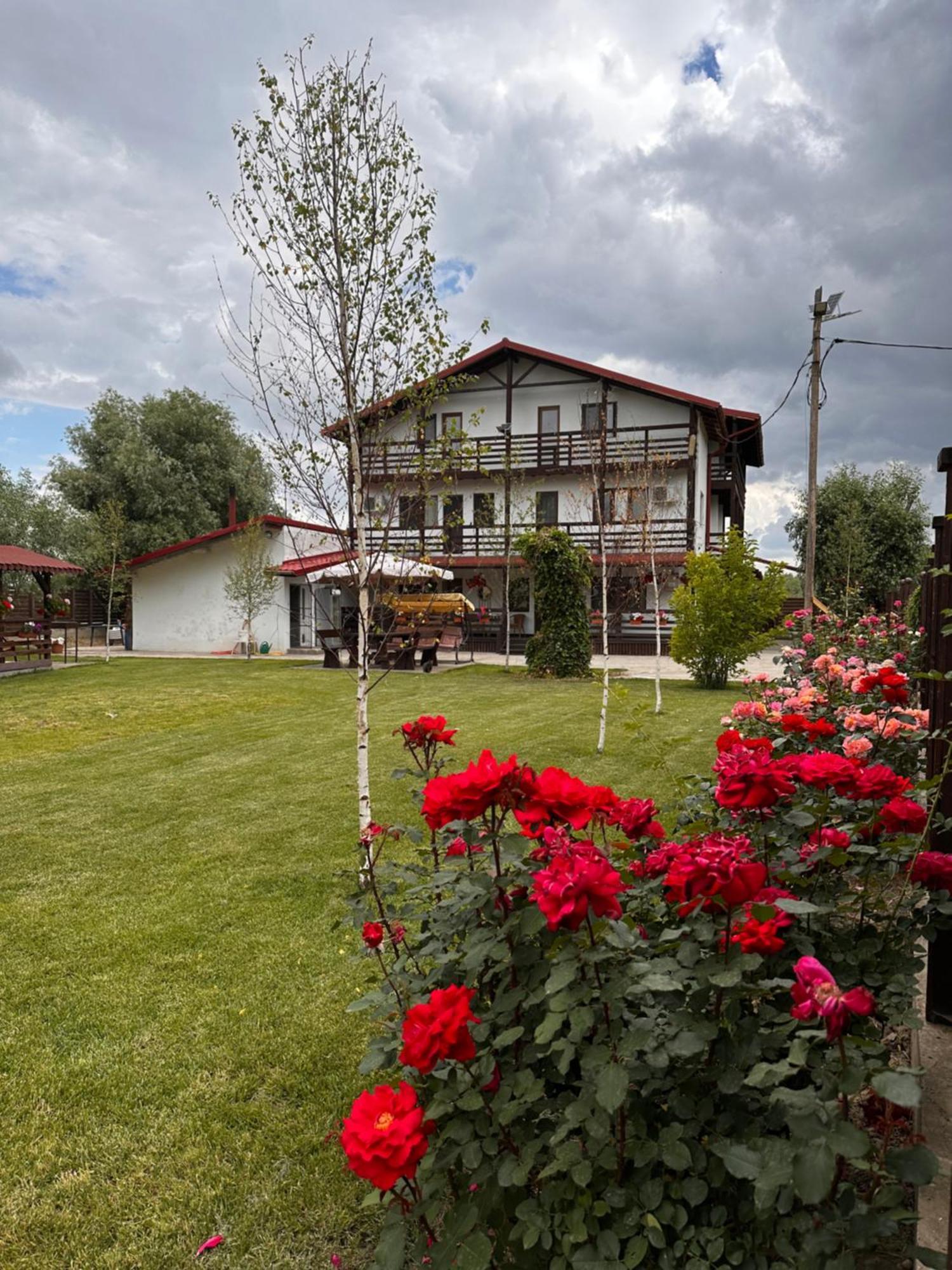 Hotel Casa Carp Calarasi Exterior foto