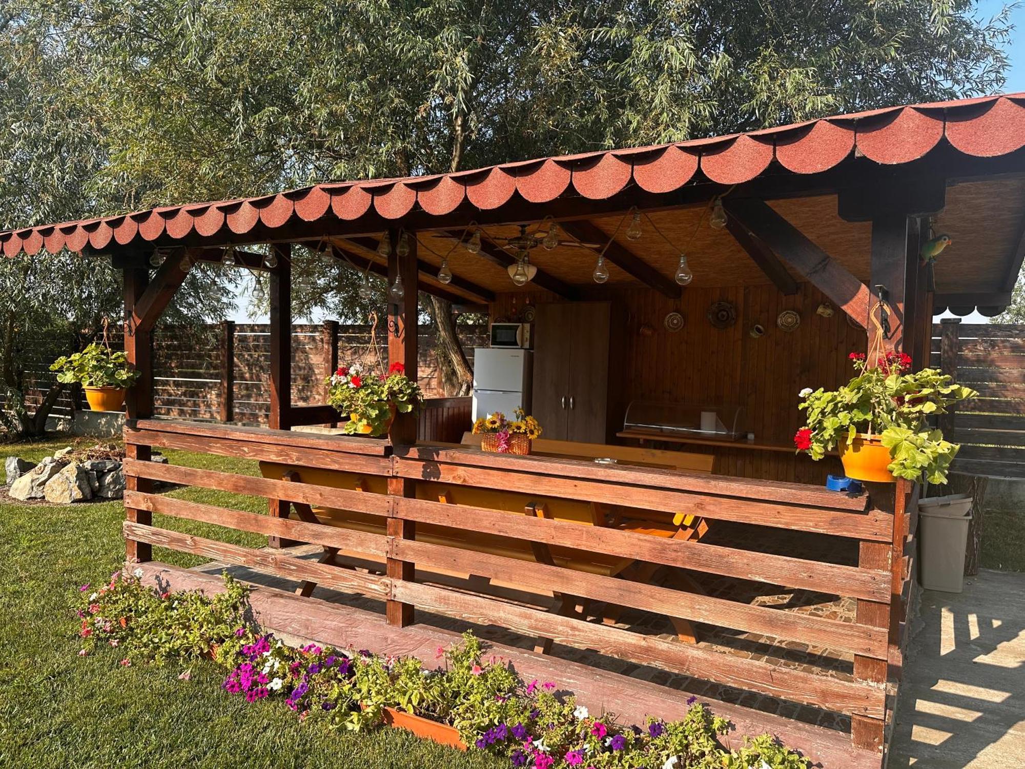 Hotel Casa Carp Calarasi Exterior foto